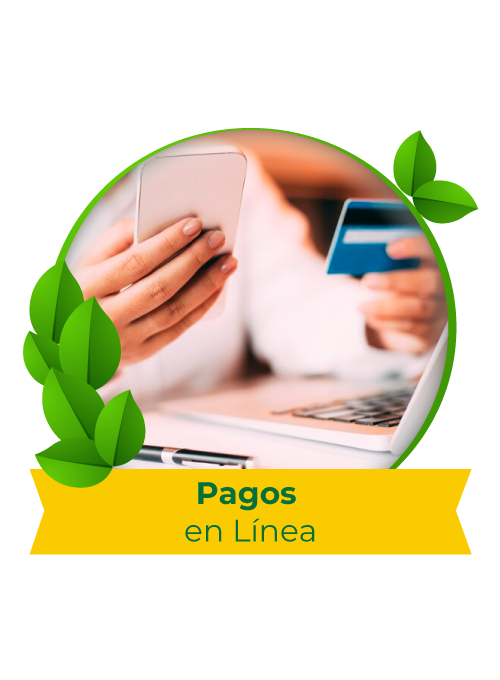 3_pagos