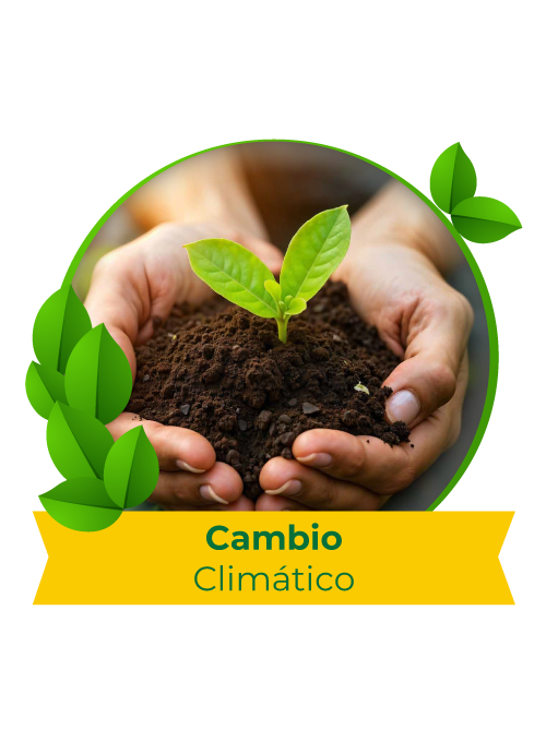 4_cambio