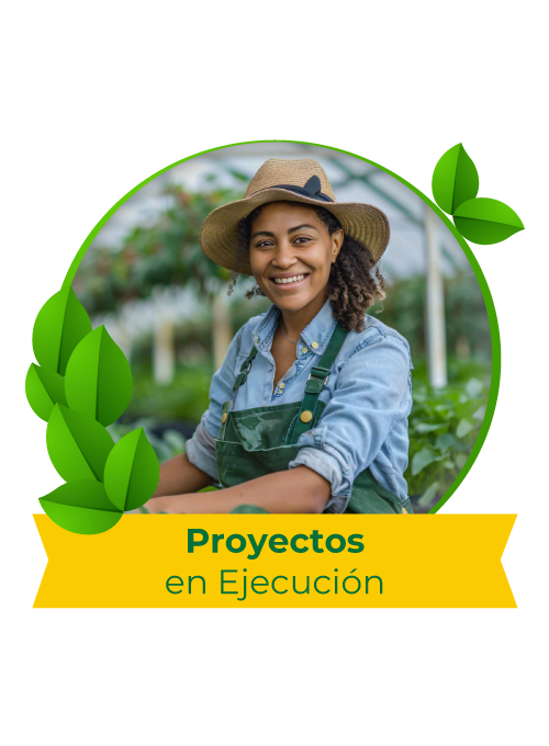 5_proyectos