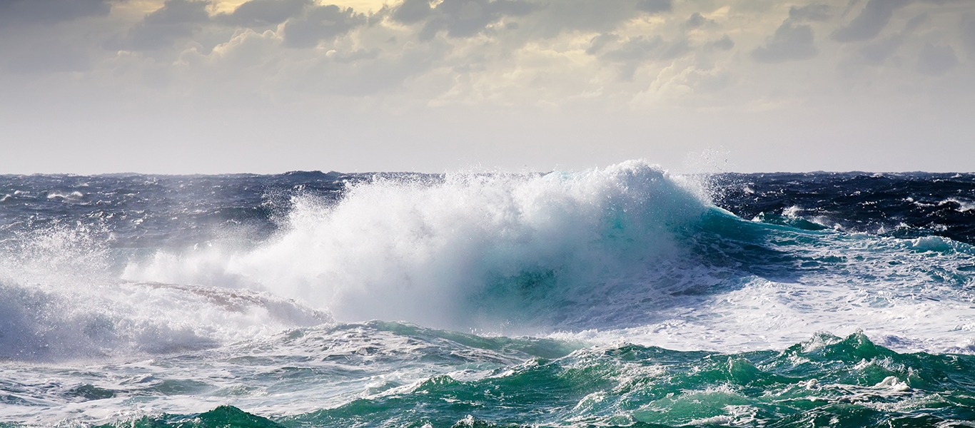 Ballenas durante la tormenta