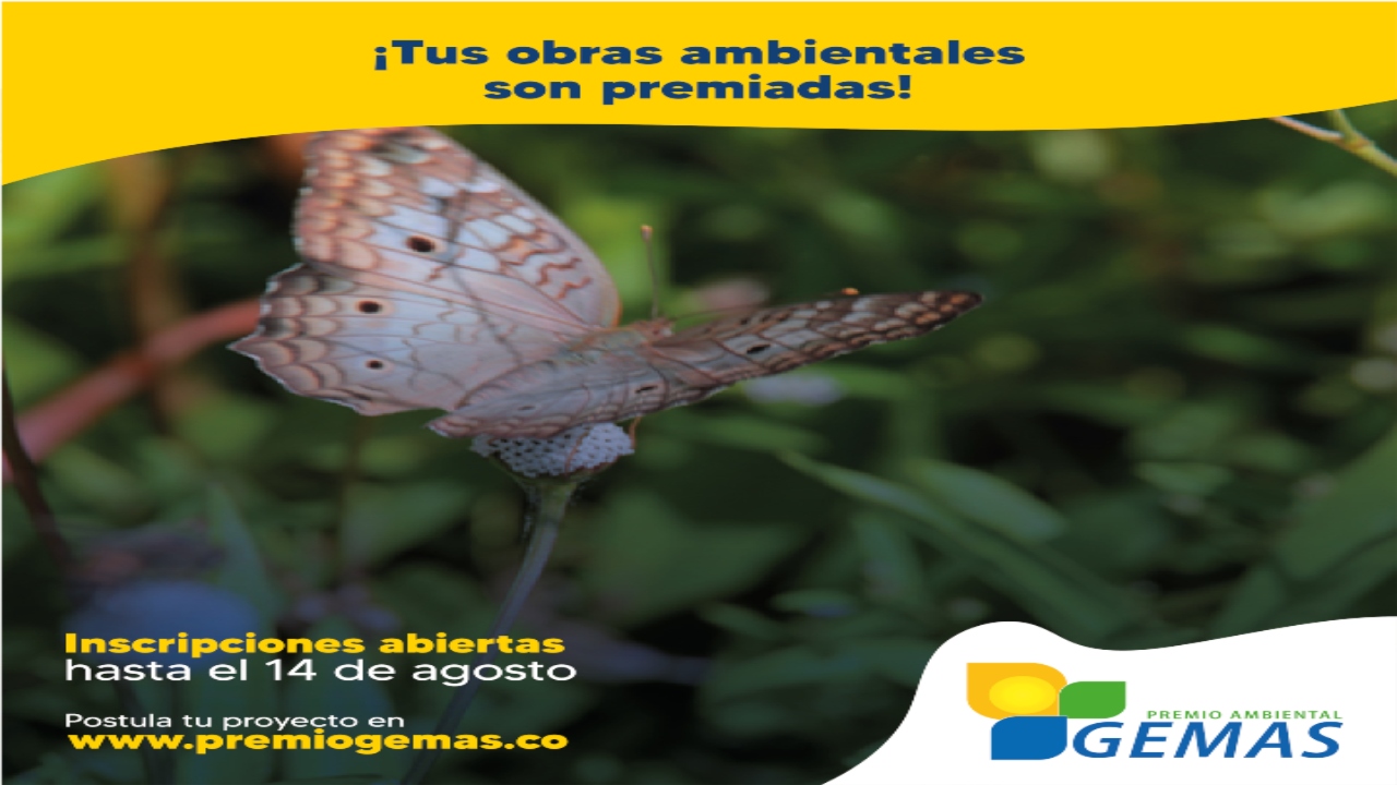 Premio ambiental