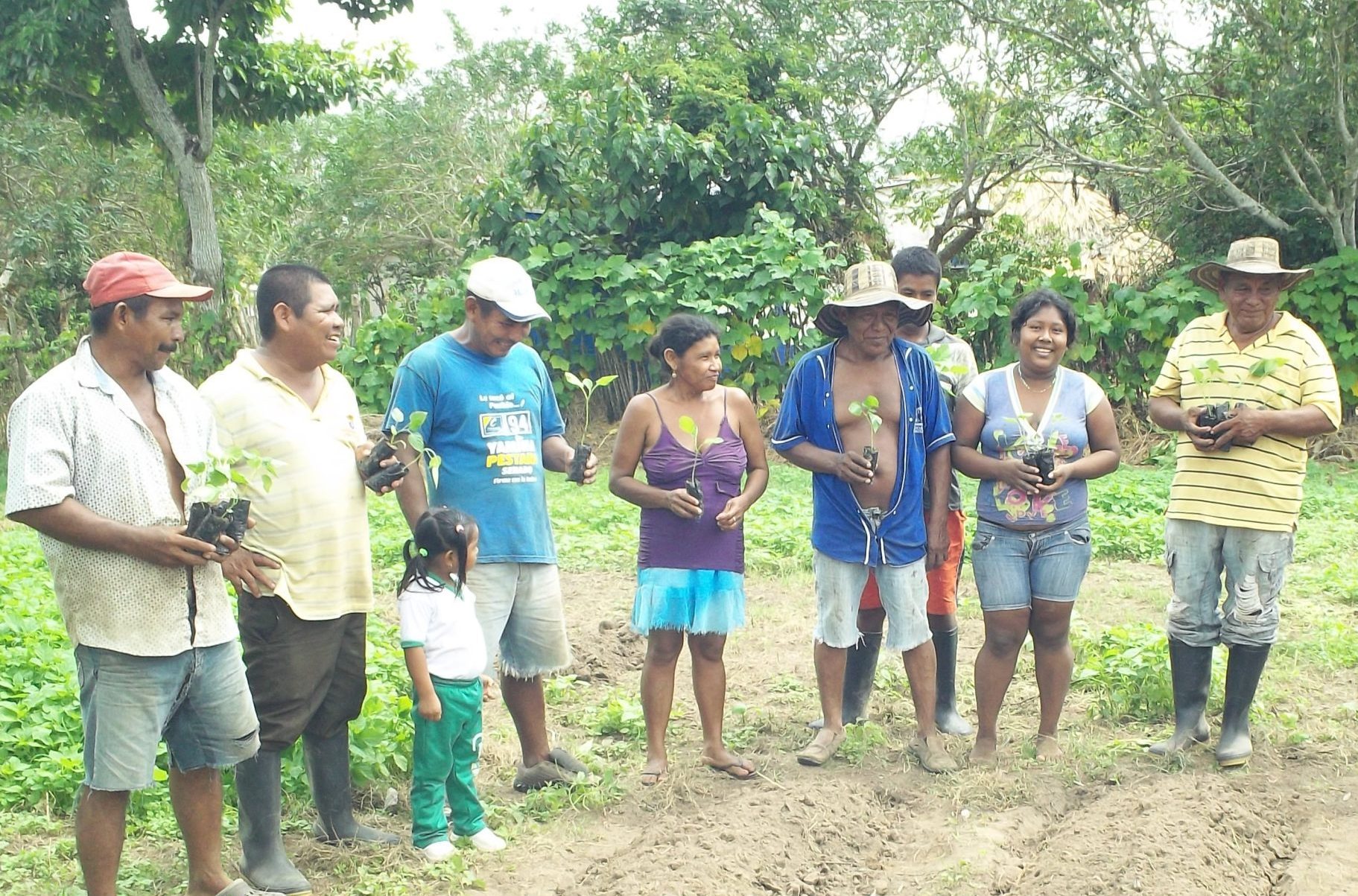 imagen de Comunidad indigena en el campo, con arboles para sembrar