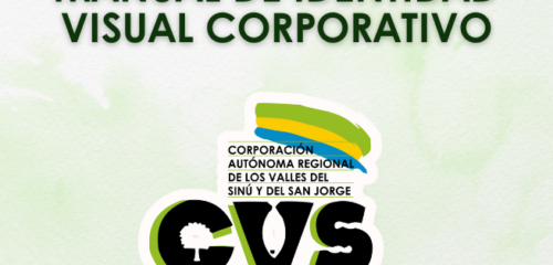 Imagen Del Manual De Identidad Visual CVS