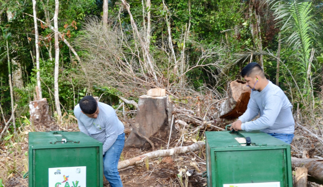 Dos Hombre Libreran A Dos Pumas Que Estan En Unos Guacales En El Parque Natural Del Paramillo