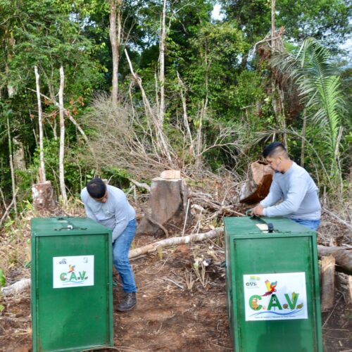 Dos Hombre Libreran A Dos Pumas Que Estan En Unos Guacales En El Parque Natural Del Paramillo