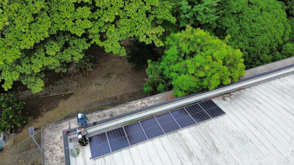 Paneles solares en techo rodeado de arboles en la Corporación CVS