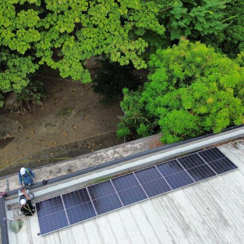 Paneles Solares En Techo Rodeado De Arboles En La Corporación CVS