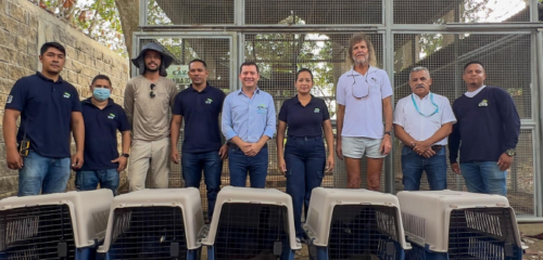 Imagen De Funcionarios De CVS Y Del Aviario Nacional En Entrega De Aves Paijil Azul