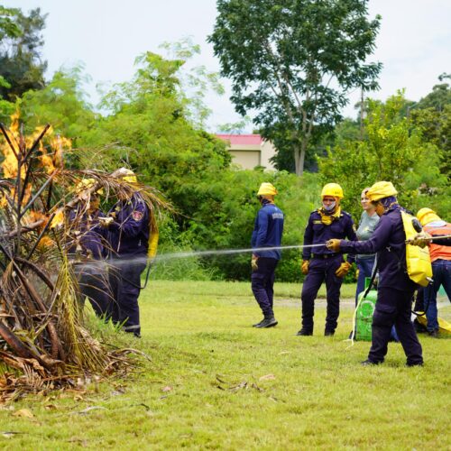 Bomberos En Zona Boscasa Posando En Un Curso De Manejo De Incendios Forestales