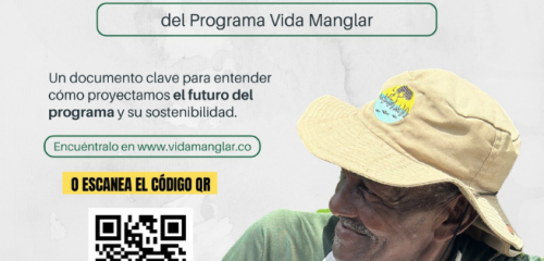 Imagen Del Proyecto ''vida Manglar''