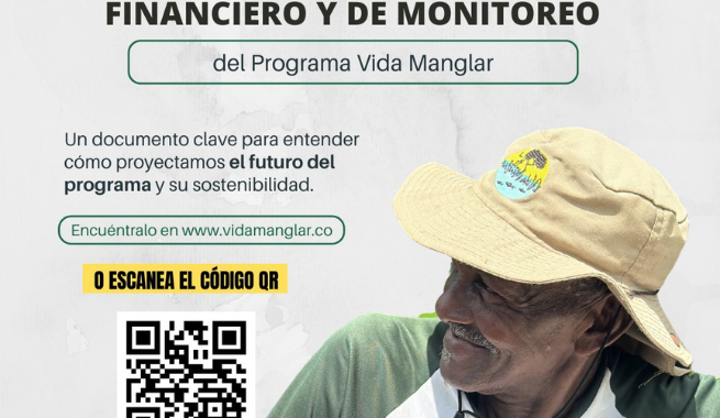 Imagen Del Proyecto ''vida Manglar''